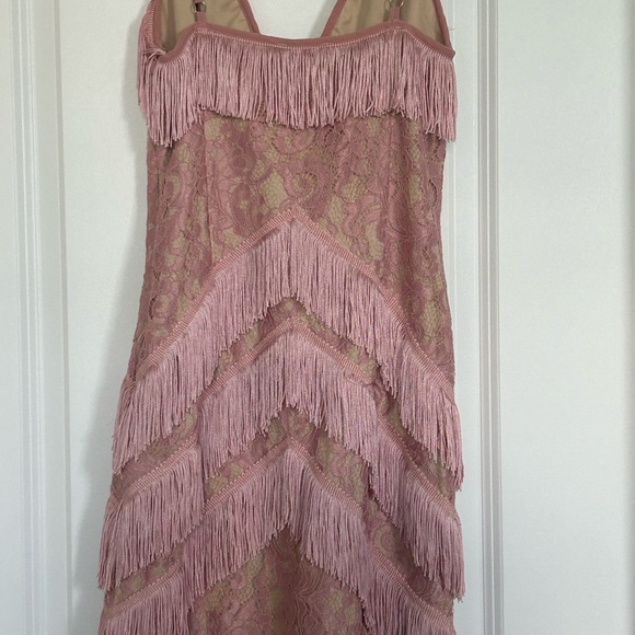 PrettyLittleThing Pink Lace Fringe Mini Dress - Picture 8 of 16
